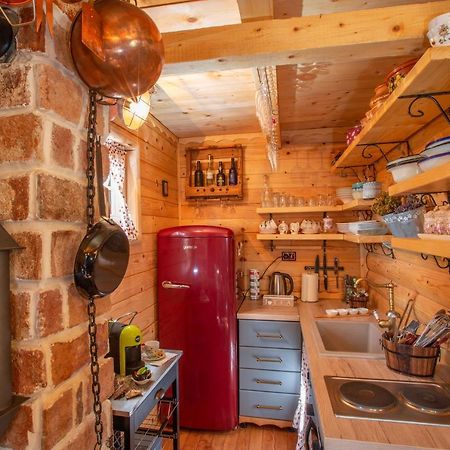 Villa Piccolo Orso Žabljak Dış mekan fotoğraf